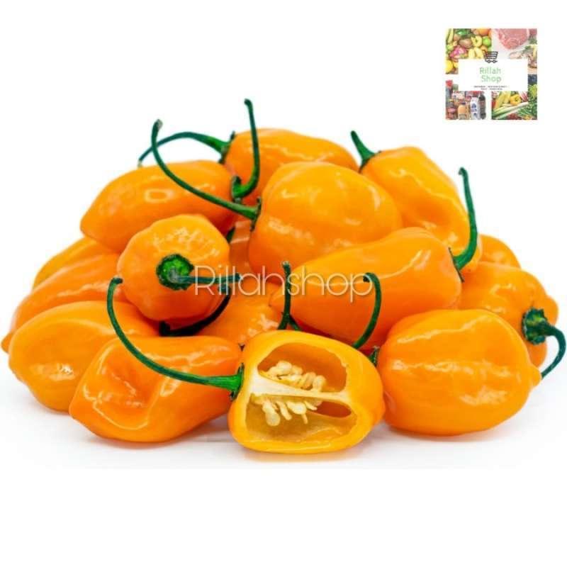 Agen Habanero Populer: Tempat Terbaik untuk Menikmati Pedasnya Cabai Habanero